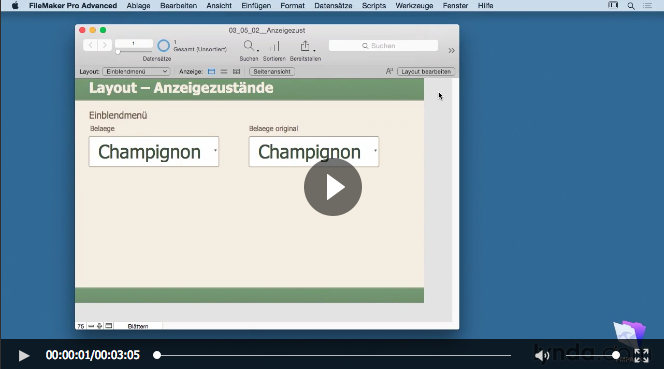 Anzeigezustände Anzeigezustaende