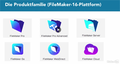 FMP 16: Die Plattform FMP_16_Plattform