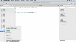 FMP 16 Scriptsbereich FMP_16_Scriptsbereich